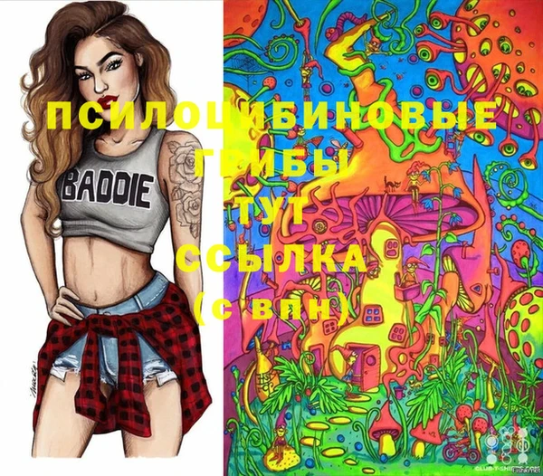 марки nbome Новодвинск